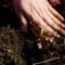 The Athens Farmers Market offers local residents a natural path from the soil to the plate.