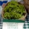 The Athens Farmers Market offers local residents a natural path from the soil to the plate.